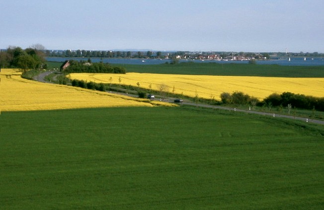 Blick vom Hofsilo auf Maasholm