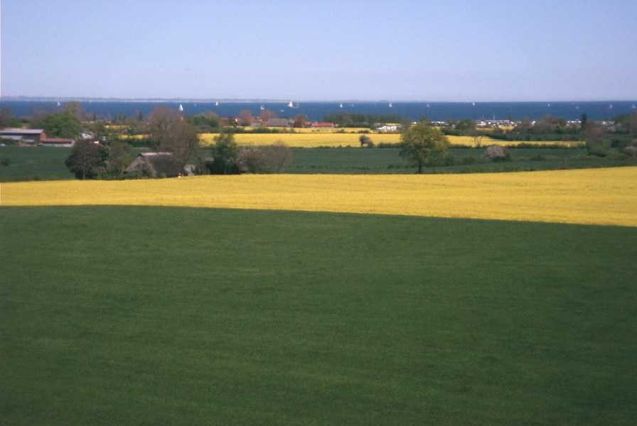 Blick vom Hofsilo auf die Ostsee